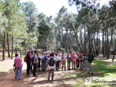 Parque Natural Nacimiento del Río Mundo; a tu aire; cascadas; taxus baccata